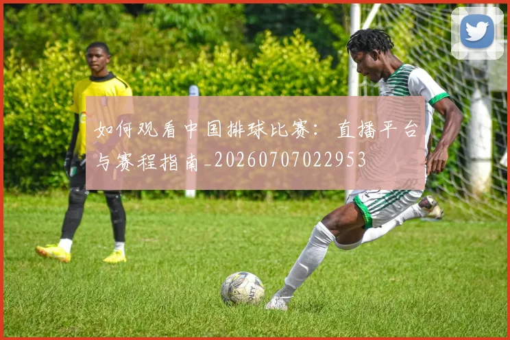 如何观看中国排球比赛：直播平台与赛程指南_20260707022953