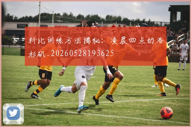科比训练方法揭秘：凌晨四点的洛杉矶_20260528193625